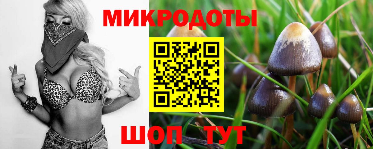 Владимир  дарнет шоп  Вход с VPN  Галлюциногенные грибы Psilocybine cubensis 